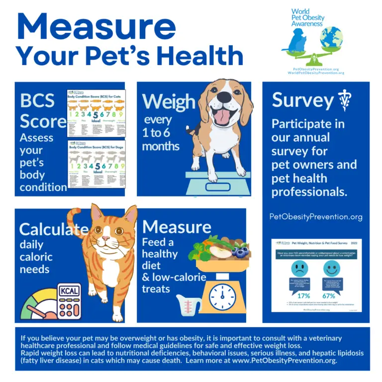 Understanding Pet Nutrition: The Battle Against Obesity